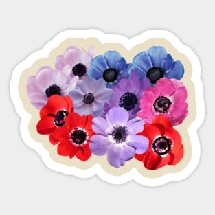 Anemone Flower Sticker